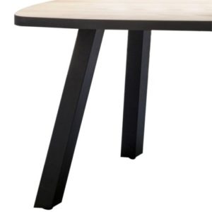 Avalox, eetkamertafel 200 x 98 cm
