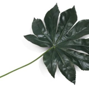 Fatsia Leaf kunstbloem H55cm
