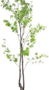 Tropaeolum kunstplant H210cm