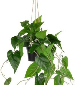 Philodendron Scandens H80cm kunstplant