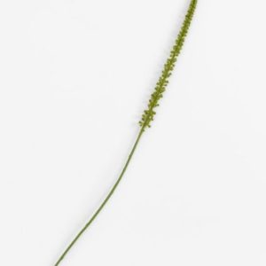 Donkey Tail kunstbloem H86cm